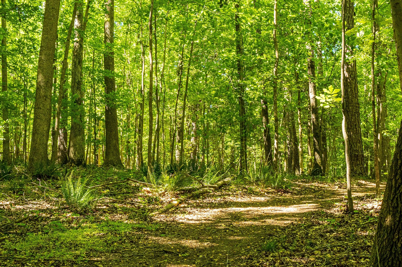 Leave No Trace: How to Hike the UK's National Parks Without Loving Them to Death