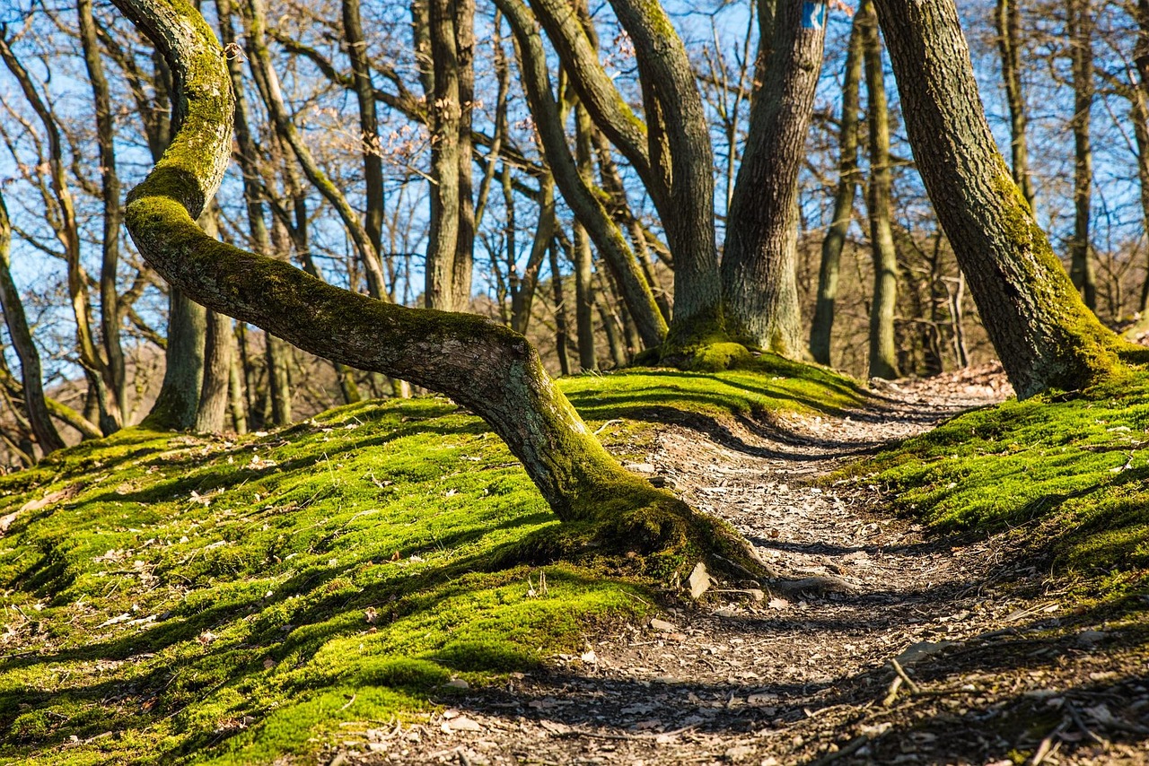 What to Eat on a Long Hill Day: Real Food for Real Walks